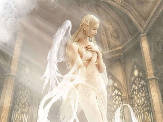 9961014_orig