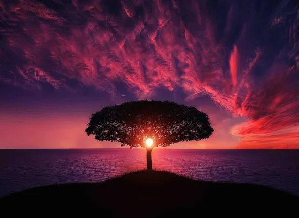Feng Shui The Ancient Art of Placement