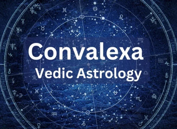 What-is-Convalexa-1024x640