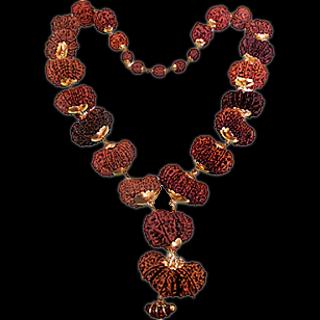 Siddha Mala Rudraksha